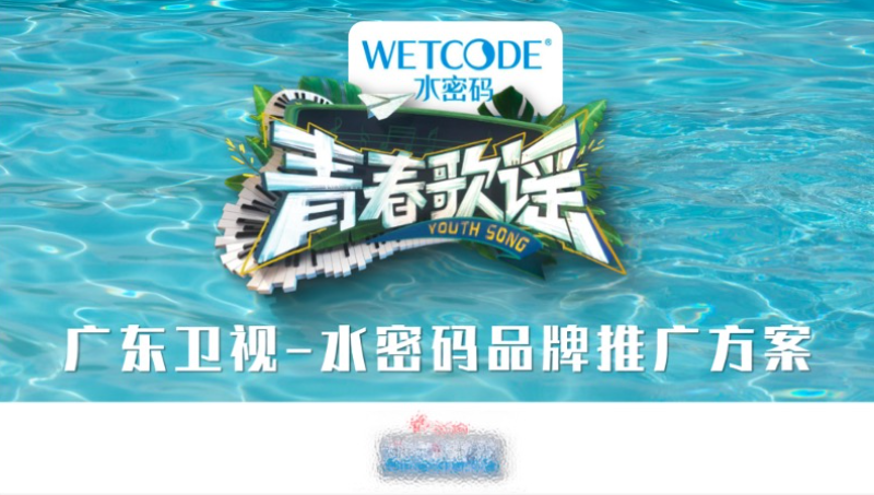 省級衛(wèi)視與知名美妝品牌的定制節(jié)目合作宣傳策劃案