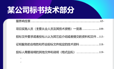 某公司投標(biāo)文件技術(shù)部分