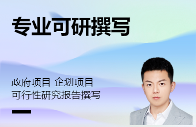 政企項目 企劃 可研 根據(jù)需求定制化編寫