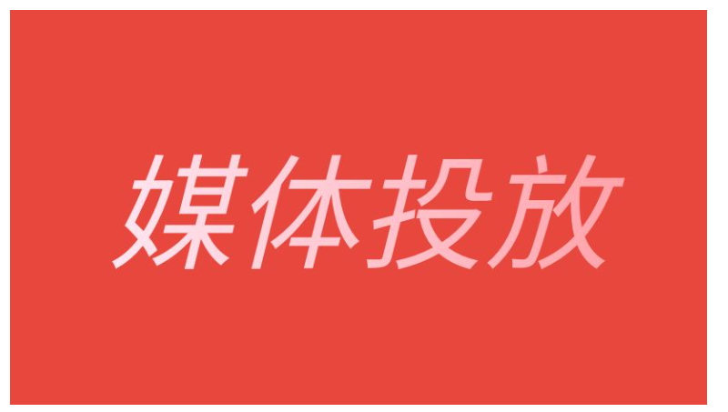 媒体推广自媒体投放案例