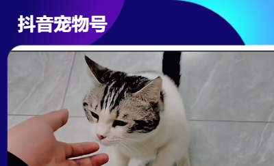 抖音寵物號起號到運營