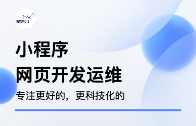 網(wǎng)站、小程序定制開發(fā)、運維