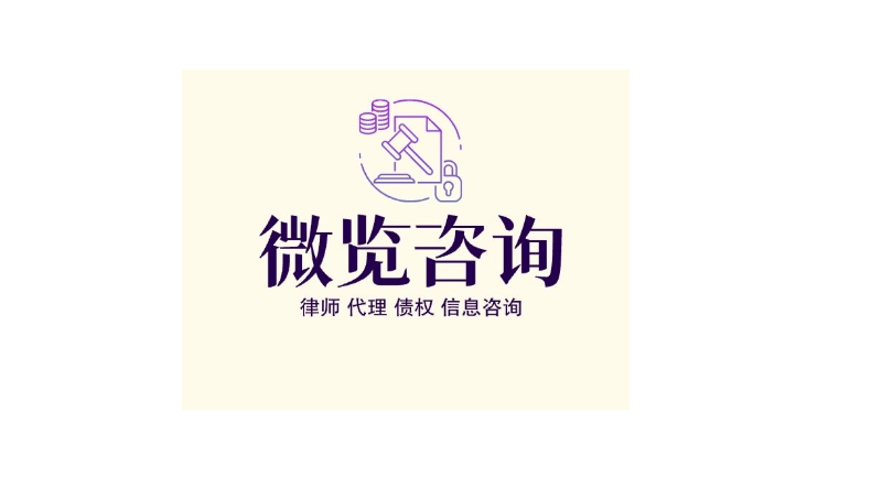 微覽咨詢有限責(zé)任公司
