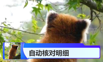 電商退換貨場(chǎng)景明細(xì)自動(dòng)核對(duì)
