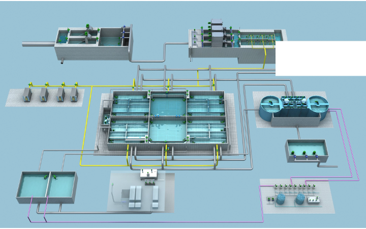 大同市啵啵鱼科技有限公司责任公