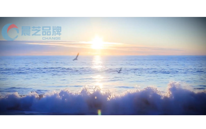 晨芝影视传媒--十年实体店