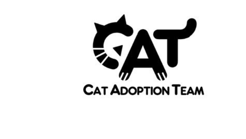 虎斑貓cat