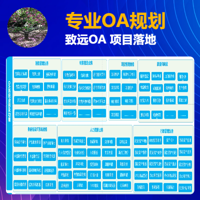 10年致远OA应用、维护、项目管理经验