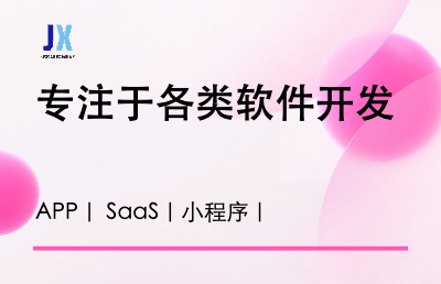 各種定制化<hl>SaaS</hl>服務