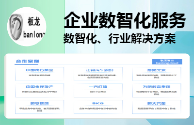 企業(yè)應(yīng)用系統(tǒng)運(yùn)維服務(wù)