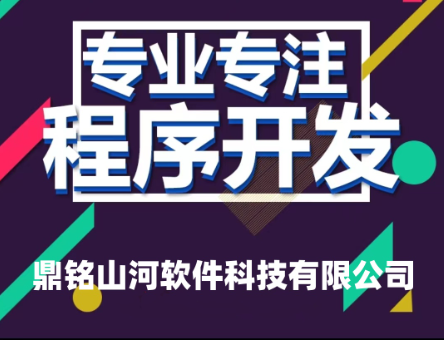 鼎铭山河软件科技公司