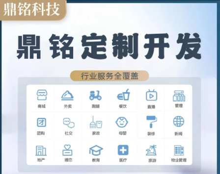 鼎铭山河软件科技公司