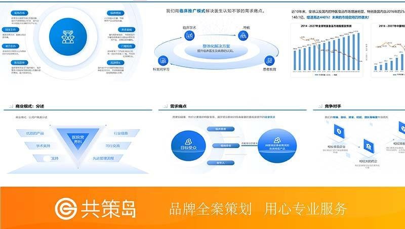 PPT設(shè)計費用100元/頁以下案例【共策島品牌全案策劃】
