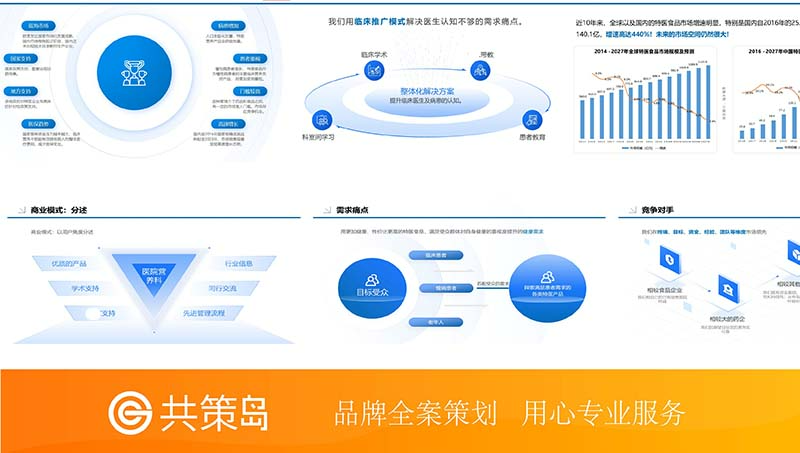 PPT设计费用100元/页以下案例【共策岛品牌全案策划】