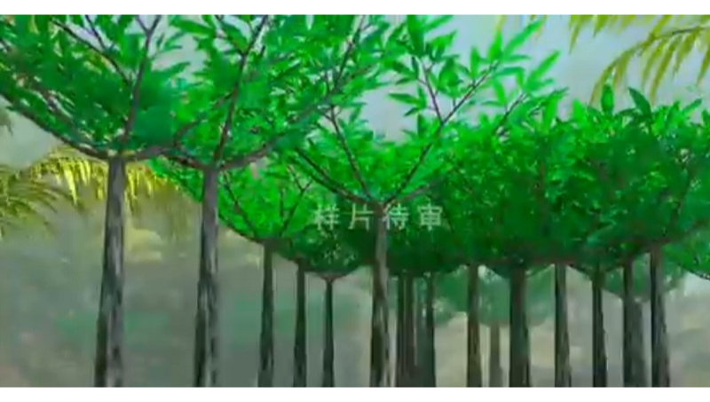 魔芋發(fā)壓生長動畫模擬制作