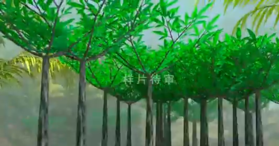 動畫說