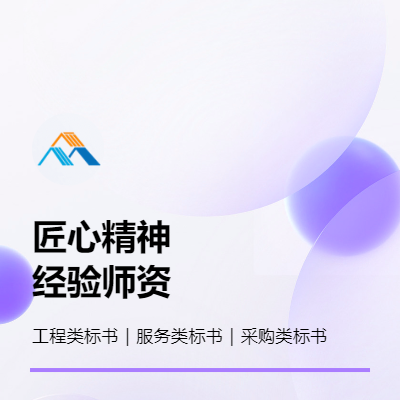 策劃代做投標(biāo)書 標(biāo)書制作 代做標(biāo)書 工程、采購(gòu)、服務(wù)標(biāo)書
