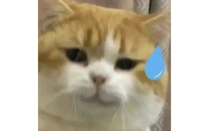陳曉旭