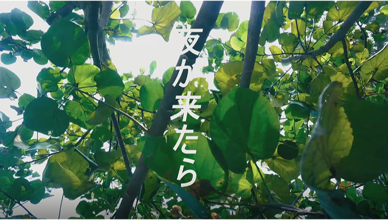 <hl>MV</hl>剪輯
