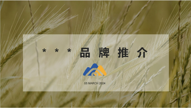 企業(yè)品牌推介PPT