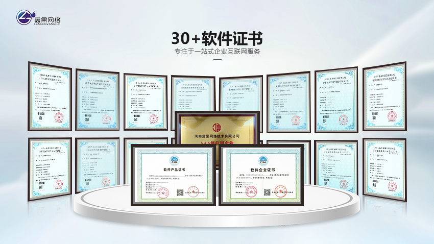 蓝果网络10年开发经验百人团队