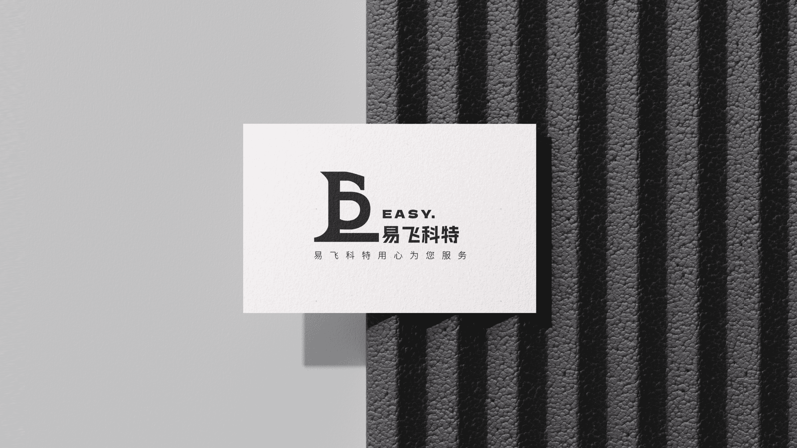 易飞科特/品牌logo/企业商标/产品logo
