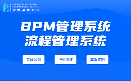 BPM软件开发业务流程管理软件开发