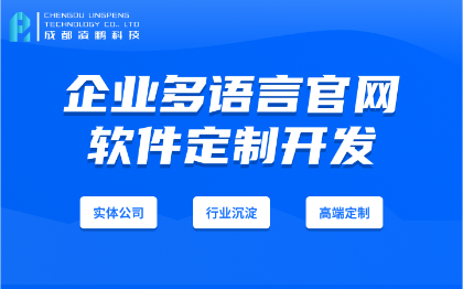 企业官网多语言网站定制开发