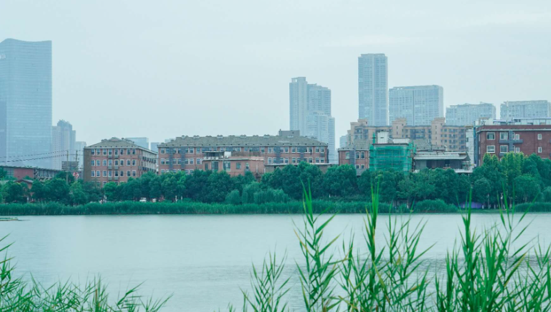 把《詩經(jīng)》內(nèi)容轉(zhuǎn)寫成現(xiàn)代詩
