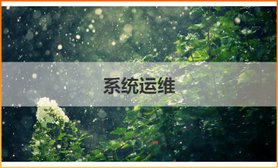 杭州*警務(wù)操作系統(tǒng)運(yùn)維