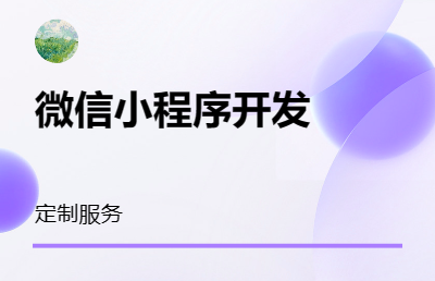 微信小程序前端開發(fā)定制服務(wù)