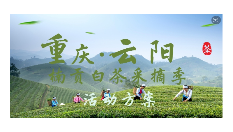 茶文化节<hl>活动</hl>方案