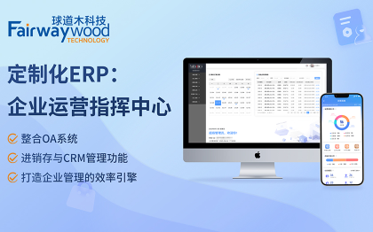 一体化企业资源管理：ERP系统与CRM管理系统深度定制