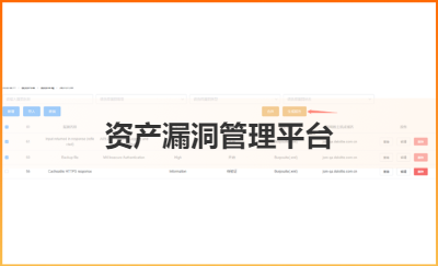 資產(chǎn)以及漏洞管理平臺(tái)