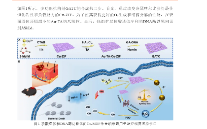 官方演讲稿写作，文件<hl>加密</hl>及各类格式排版处理，文件内容录入