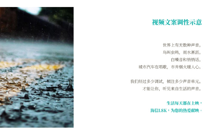 小陽飛刀