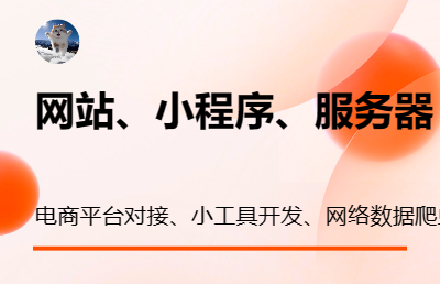 做网站、搭小程序、建服务器、搭网络，电商平台对接、小工具