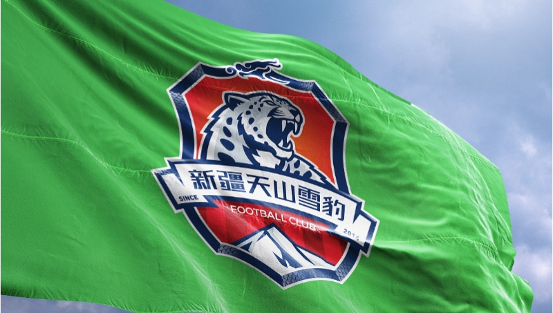 新疆天山雪豹足球隊(duì)隊(duì)徽設(shè)計(jì)