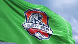 新疆天山雪豹足球队队徽设计