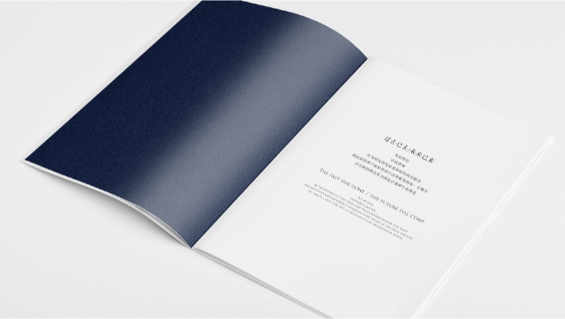 律師事務(wù)所宣傳冊(cè)設(shè)計(jì)