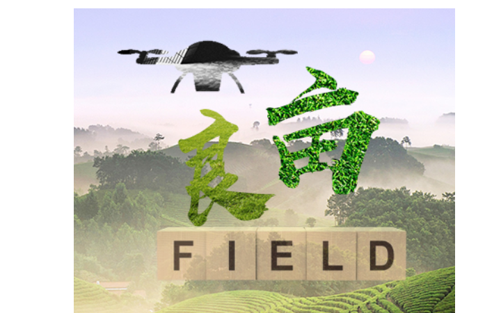 李十一撰logo