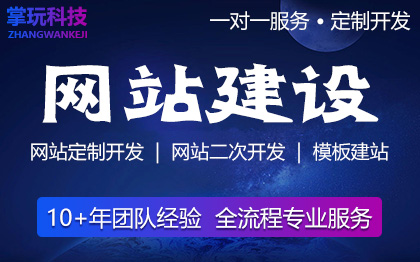 十年以上网站开发运营经验，承接各种网站开发及运营需求