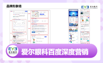 爱尔眼科百度营销（持续合作4年）案例很多，不例举了