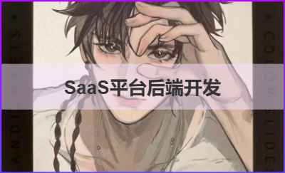 <hl>SaaS</hl>平臺(tái)后端開發(fā)