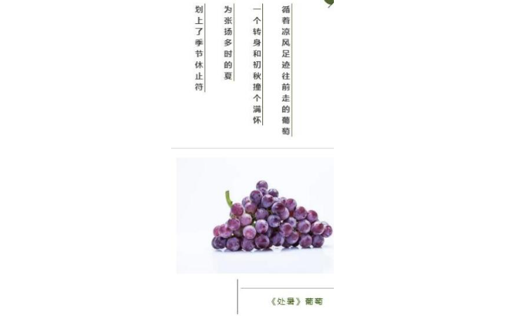 錦年策劃