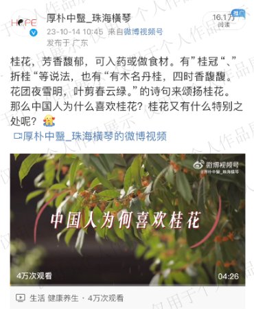 張夢縈