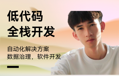 低代码开发，全栈开发