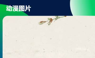 剪輯新人