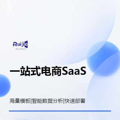 SaaS平台|电商独立站|官网|定制开发|小程序app