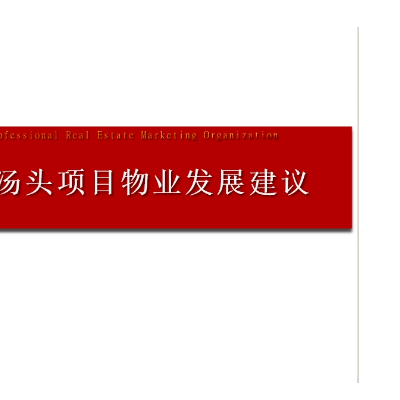 市场调研报告、营销策略报告、价格方案、营销汇报方案等